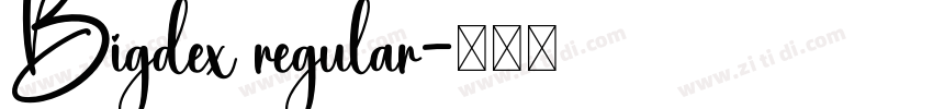 Bigdex regular字体转换
